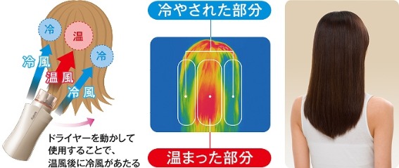 ����c�C���t���[�ŁA�ї���̐������c���̂��锯��