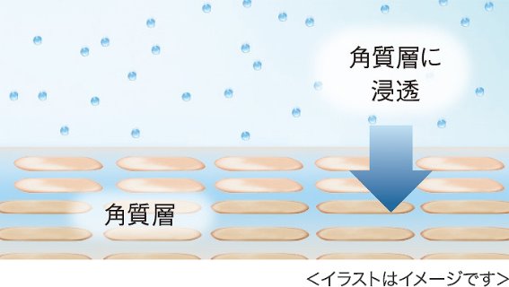 �X�L���P�A�̂��߂ɐ��܂ꂽ�X�`�[��