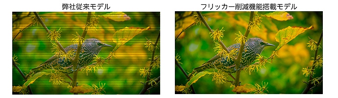 �v�����X�g���@PRINCETON  PTFGLB-25W �Q�[�~���O���j�^�[ �u���b�N [24.5�^ /���C�h /�t��HD(1920&times;1080)]