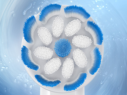 �閧�͓Ǝ��́u�ی^�u���V�v