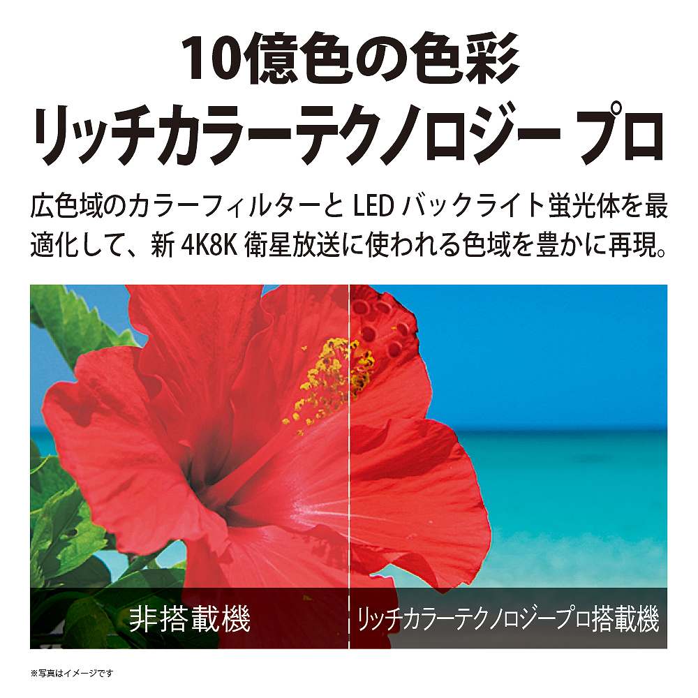 10���F�̐F�ʃ��b�`�J���[�e�N�m���W�[�v��