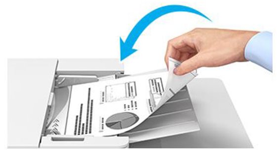 �S�~��z�R���̐N����h���u�܂肽���݉\��ADF�v