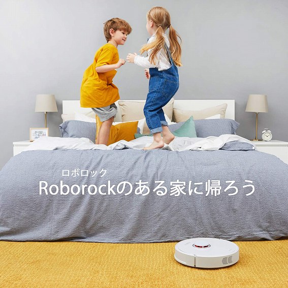 Roborock�̂���ƂɋA�낤