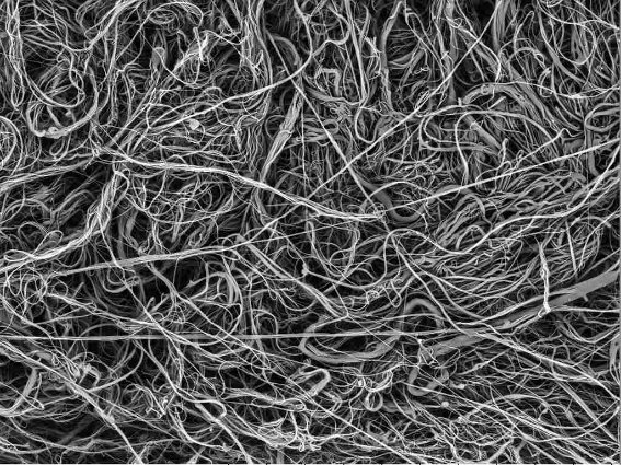 �����Ⓑ���̈قȂ�@�ۓ��m����������������3D�\���ŁA�������͂ɋz�����܂��I