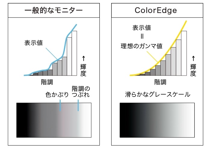 ���Y���A�H��Ō����ɐF����