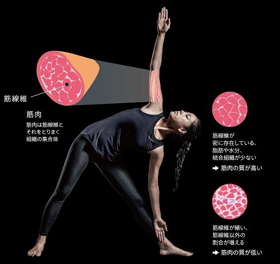 �̑g���v �^�j�^�@TANITA  RD911BK �̑g���v �C���i�[�X�L�����f���A��