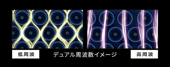 �̑g���v �^�j�^�@TANITA  RD911BK �̑g���v �C���i�[�X�L�����f���A��