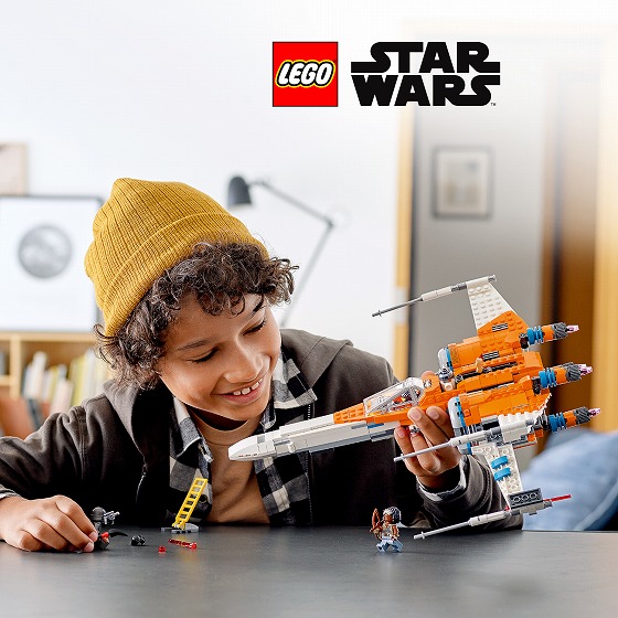 �|�[�E�_��������X�E�C���O�E�t�@�C�^�[�̑g�ݗ��ăZ�b�g�ł��B