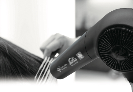 �T�����̂悤�Ȏd�オ������ƒ�ő̌�