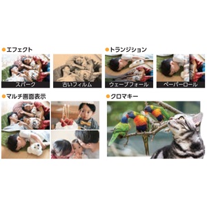 ����E�f���ҏW�\�t�g �W�����O���@Jungle  Nero Video 2020 [Windows�p]