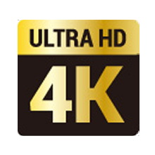 ����E�f���ҏW�\�t�g �W�����O���@Jungle  Nero Video 2020 [Windows�p]