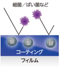 ���ł�����