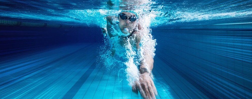 �����p���w���S���v