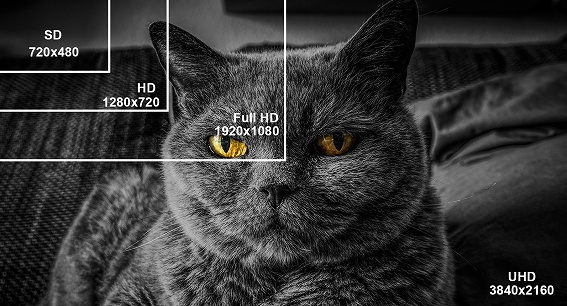 �t���f�B�X�v���C