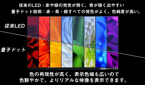 �ʎq�h�b�g�Z�p�ɂ��L�F�������