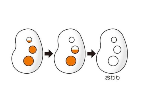  �g���I��肪��ڂł킩��u���Ƃ肩���T�C���v