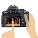 ���C�u�r���[�B�e