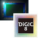 �[���̍��掿