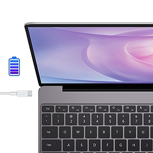 �}���[�d�Ή�