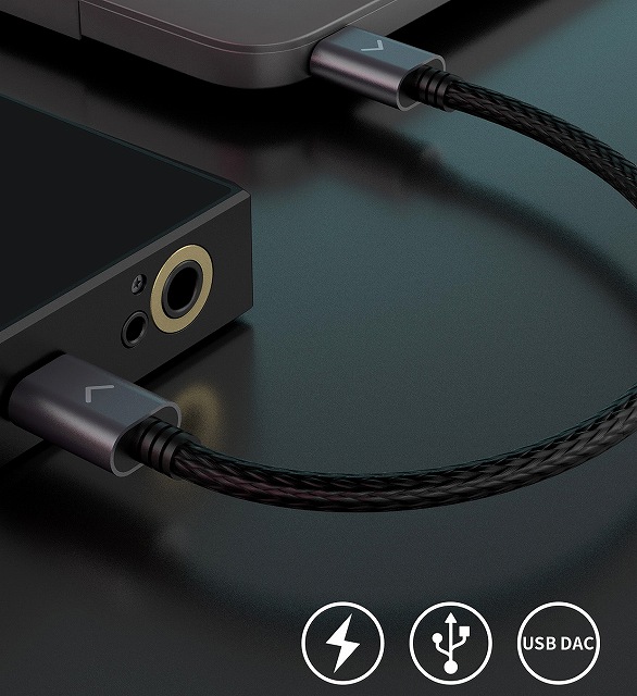 �f�o�C�X�̏[�d�^�f�[�^�`���̂ق��AFIIO���i��USB DAC�@�\���p���ɂ����p�\