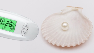 ���킢���L�k�f�U�C��