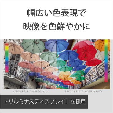 �l�̖ڂɉf��F�́A���Ƃ��ΐԂƂ����Ă��A�o���A�g�t�A�g�}�g�A���C���ȂǁA���܂��܂ȐԂ̐F����������܂�