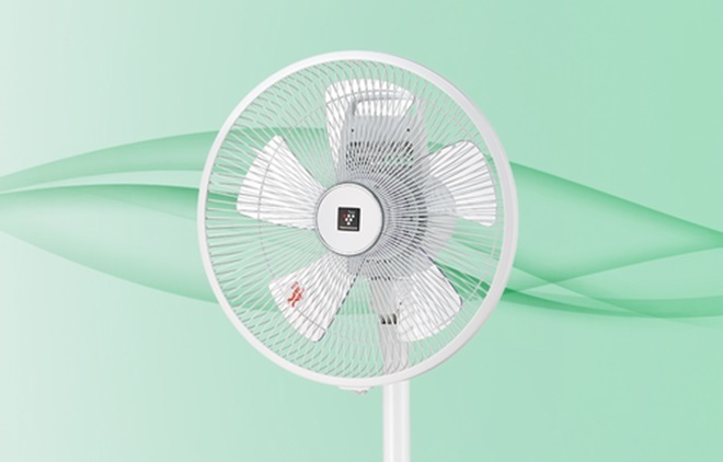 ���R�̕��̂悤�ȃ��Y����