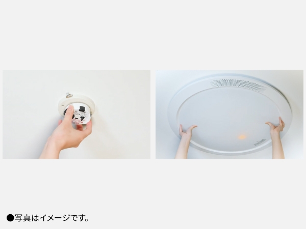 ���t��������΍H���s�v