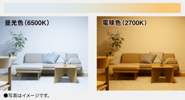 �A�����F