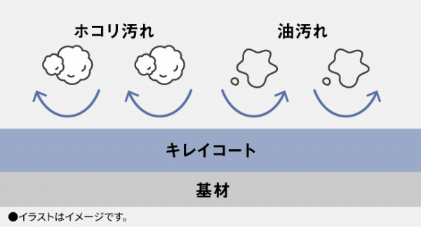 ���ꂪ�t���ɂ����������J���^��