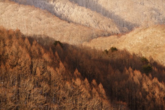 70-180mm_���_01