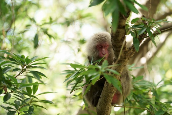 70-180mm_���_02