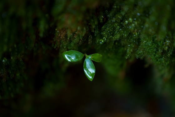 70-180mm_���_04