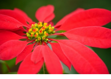 70-180mm_�ŒZ�B�e����