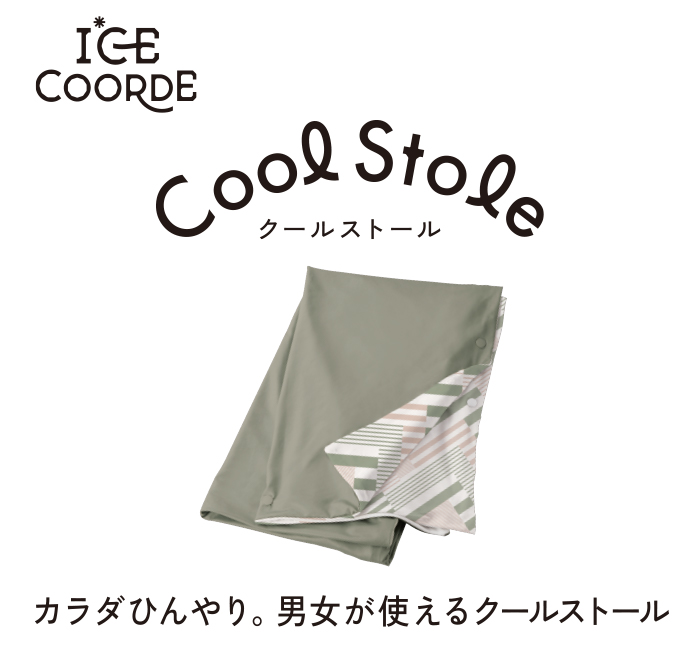 �̂Ђ���A�j�����g����N�[���X�g�[��