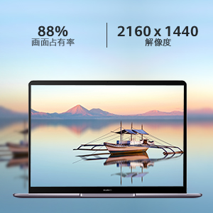 �t���r���[�f�B�X�v���C�̖v����