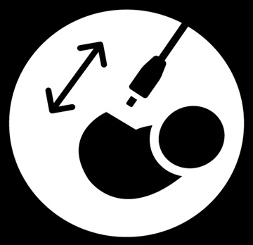 SHURE�@�V���A�[ �}�C�N�t���C���z���@�e�����[�N�@3.5mm�~�j�v���O�P�[�u���@�Ւf��