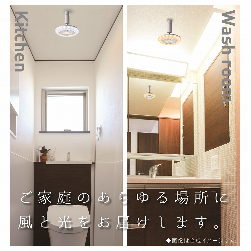 �h�E�V�V���@DOSHISHA  �T�[�L�����C�g E26�\�P�b�g�^�C�v ���F�d�l�@[���ʏ���E�ߏ��ɂ�������] DSLS60CWH �r�b�N�J����