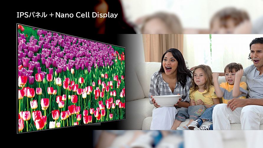 �ǂ����猩�Ă��������uIPS�p�l���v�̗p�B