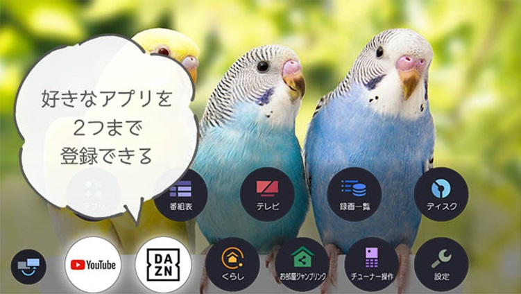 �p�i�\�j�b�N�@�|�[�^�u���e���r �v���C�x�[�g�r�G�� �u���b�N UN-15CTD10-K�@15V�^ /500GB /�h���Ή��@Youtube�Ή��@Blu�|ray�Ή��@DVD�Ή�