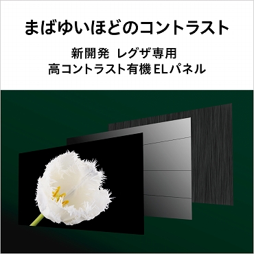 ���Ł@TOSHIBA  �L�@EL�e���r REGZA(���O�U) 48X8400 [48V�^ /4K�Ή� /YouTube�Ή�]