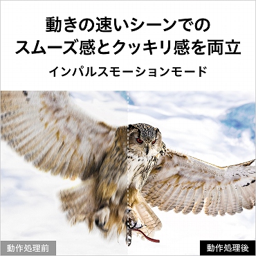 ���Ł@TOSHIBA  �L�@EL�e���r REGZA(���O�U) 48X8400 [48V�^ /4K�Ή� /YouTube�Ή�]