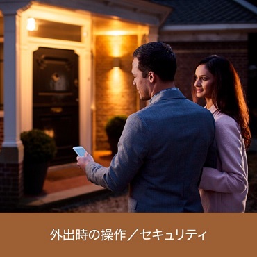 �y�O�o���̑���^�Z�L�����e�B�z