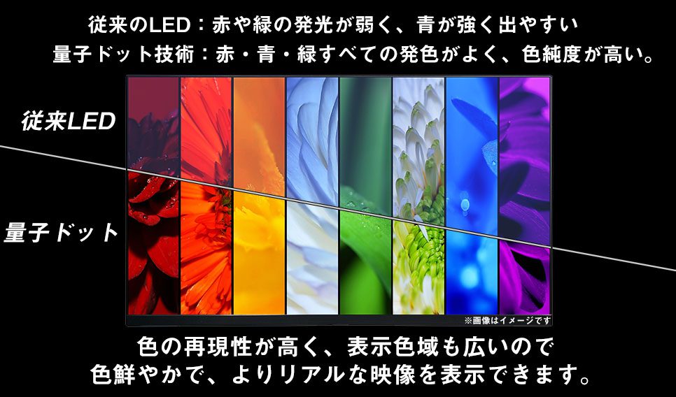 �ʎq�h�b�g�Z�p�ɂ��L�F�������