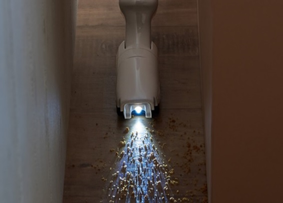 �E�k�d�c�i�r���C�g�i�q�m�Y���j�ŃS�~���������Ȃ�