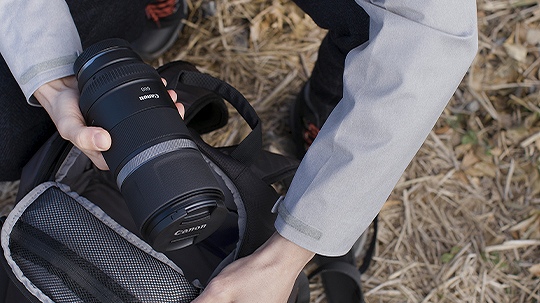 �����ȓ���