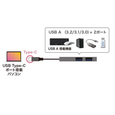 TTvC@SANWA@SUPPLY  USB-3TCH24S USB-C  USB-A ϊnu Vo[ [USB3.2Ή /2|[g /oXp[]