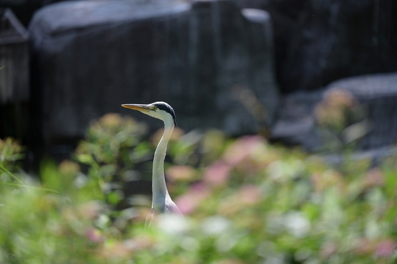 �e���R���Ȃ��i�œ_����200mm�j