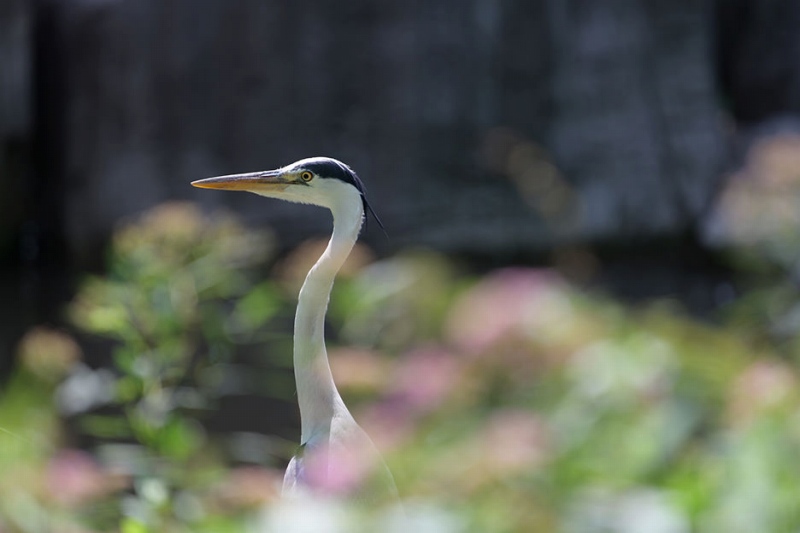 �e���R������i�œ_����400mm�����j