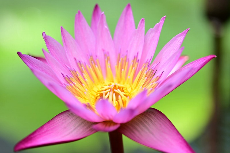 �e���R������i�ő�B�e�{��0.4�{�j